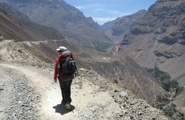 Trekking Arequipa – Cañón de Colca <span>2 días <br> 1 noche</span>